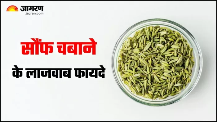 खाने के बाद सौंफ चबाने के हैं ढेरों फायदे, जानकर आप भी रह जाएंगे हैरान (Image Source: Freepik)