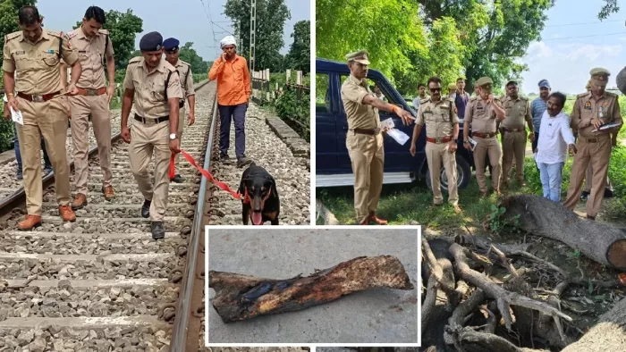 रेलवे ट्रैक के पास कटा पड़ा पेड़ देखते पुलिस अधीक्षक आलोक प्रियदर्शी। जागरण