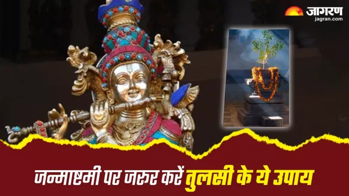 Janmashtami 2024: जरूर करें तुलसी के ये उपाय -