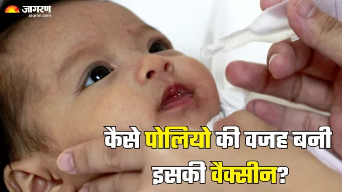 मेघालय में कैसे वैक्सीन बनी पोलियो की वजह (Picture Credit- Freepik)
