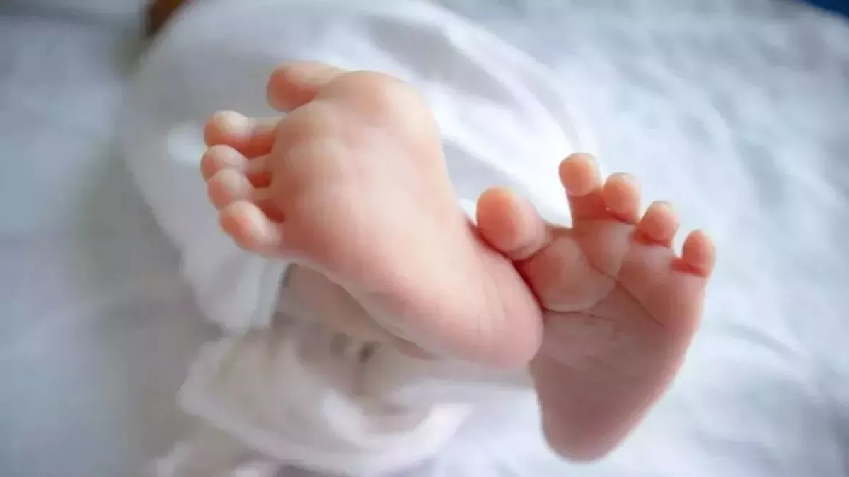 Haryana News: महिला ने दिया बेटा को जन्म, डॉक्टर की लापरवाही से नवजात की मौत