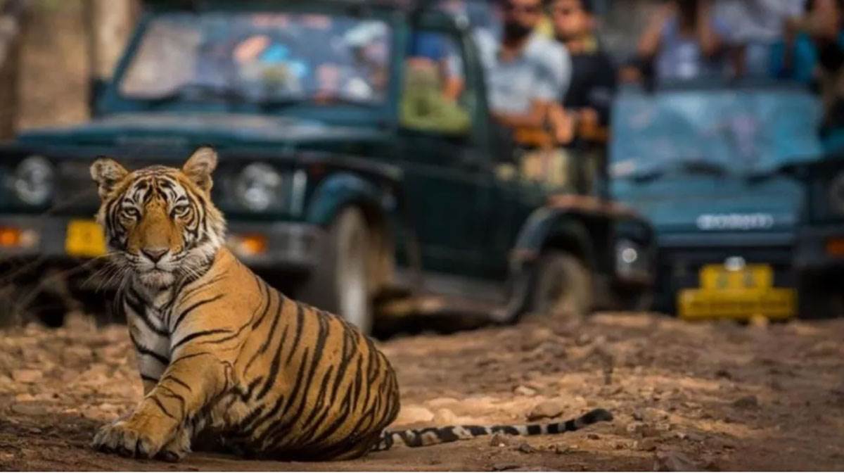 https://www.jagranimages.com/images/newimg/24082025/24_08_2025-corbett-park_24023628.jpg