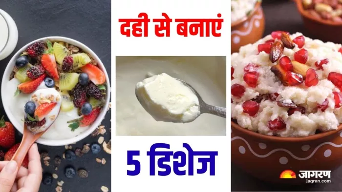 Curd Recipes: पाचन तंत्र को बेहतर बनाएंगी दही की 5 डिशेज (Image Source: Freepik)
