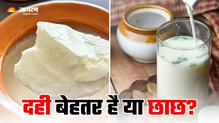 डाइजेशन को बेहतर रखने के लिए दही खाएं या छाछ? (Image Source: Freepik)