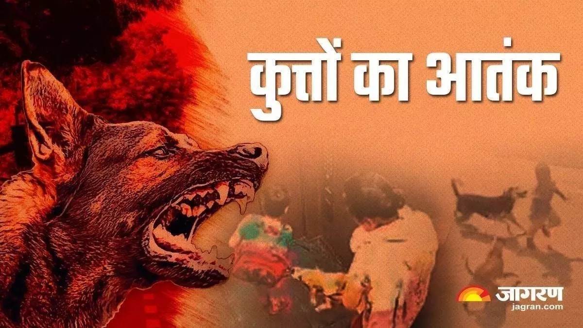 https://www.jagranimages.com/images/newimg/24082025/24_08_2025-dog_24023608.jpg