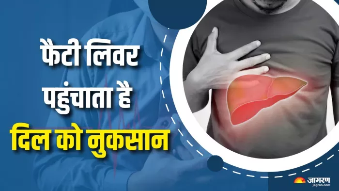 फैटी लिवर का दिल पर क्या होता है असर? (Picture Courtesy: Freepik)