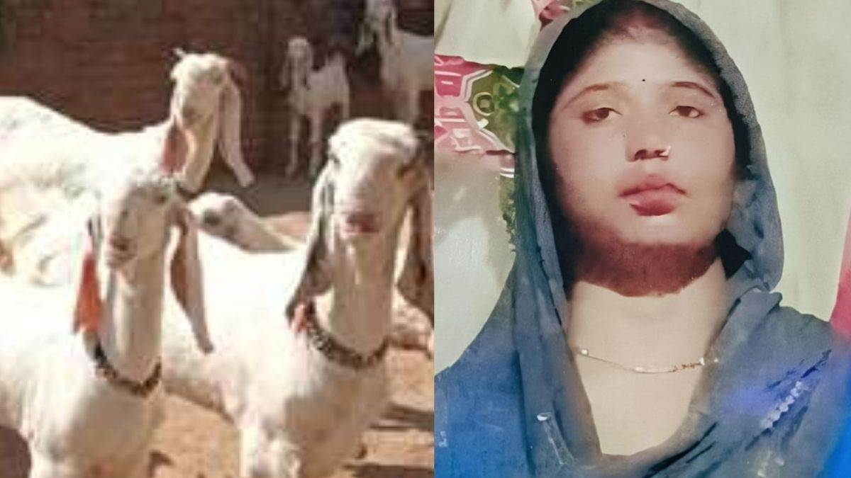 https://www.jagranimages.com/images/newimg/24082025/24_08_2025-firozabad_news_6_24023826.jpg