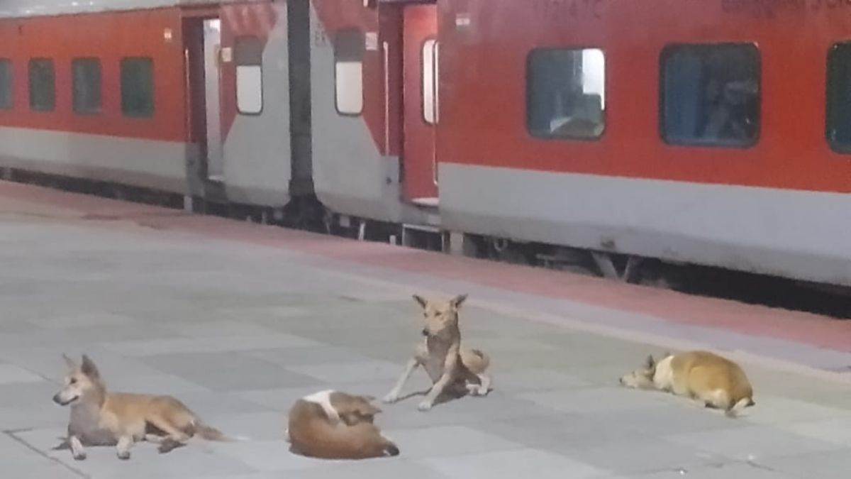 https://www.jagranimages.com/images/newimg/24082025/24_08_2025-madhuour_station_24023284.jpg