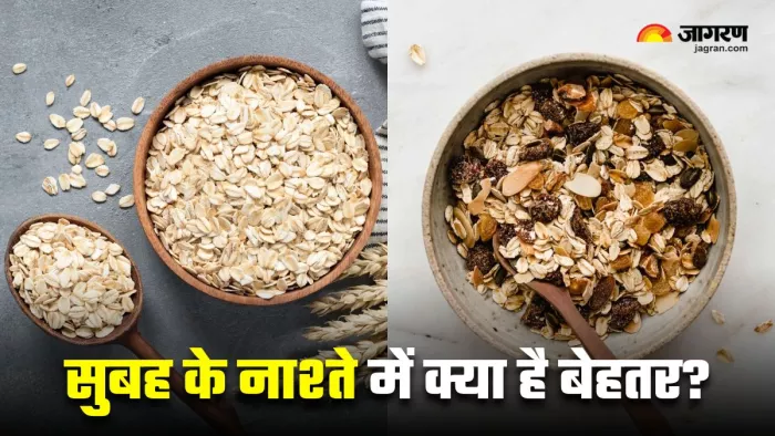 ओट्स या मूसली: सेहत के लिए कौन-सा ऑप्शन है ज्यादा फायदेमंद? (Image Source: Freepik)