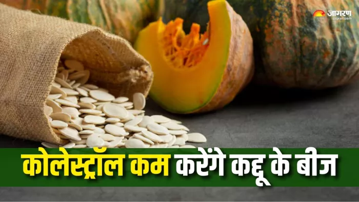 कद्दू के बीजों में छिपा है सेहत का खजाना (Picture Courtesy: Freepik)