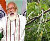 फिट इंडिया मूवमेंट के तहत लोगों से बात करते पीएम मोदी।
