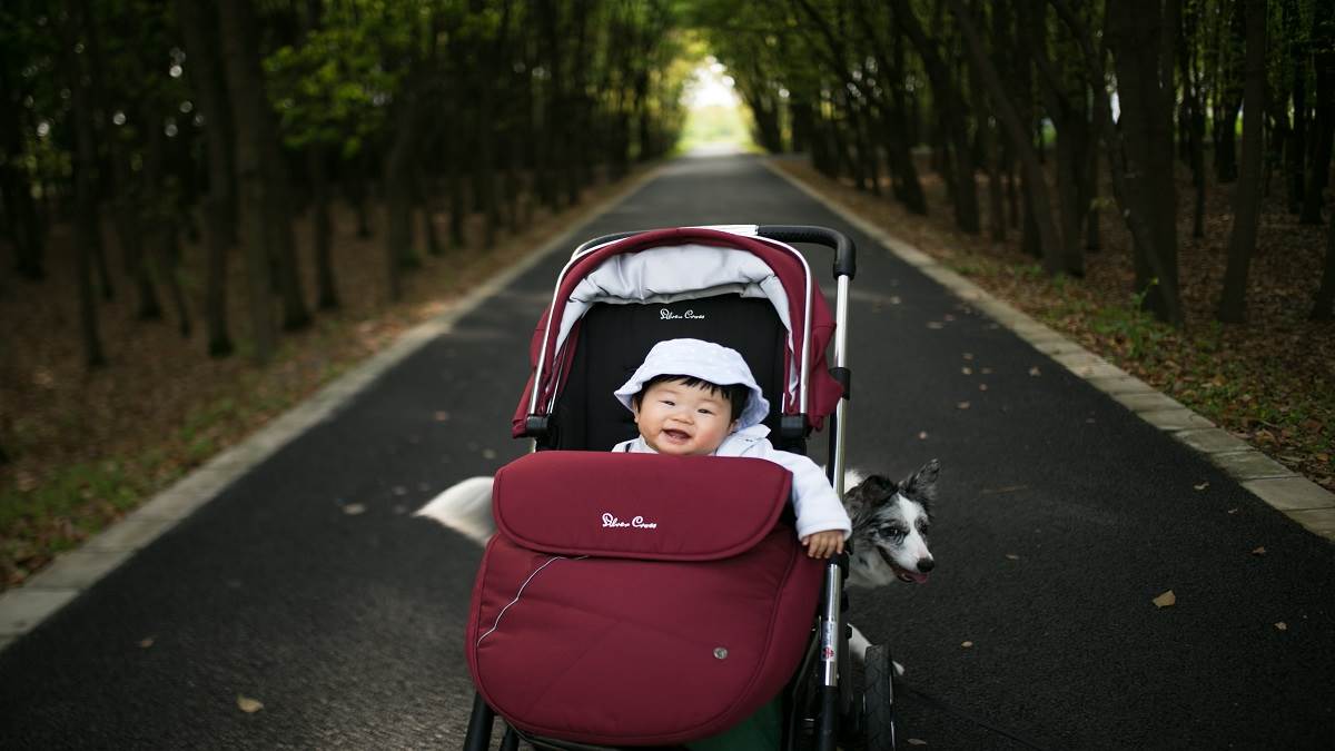 Amazon Sale Offers On Baby Strollers: बाजार से भी कम कीमत पर खरीदें ये बेबी स्ट्रोलर्स, अमेजन दे रहा धमाकेदार छूट