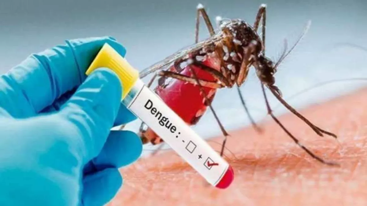 पानीपत में डेंगू के सात नए मामले।