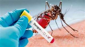 पानीपत में डेंगू के सात नए मामले।