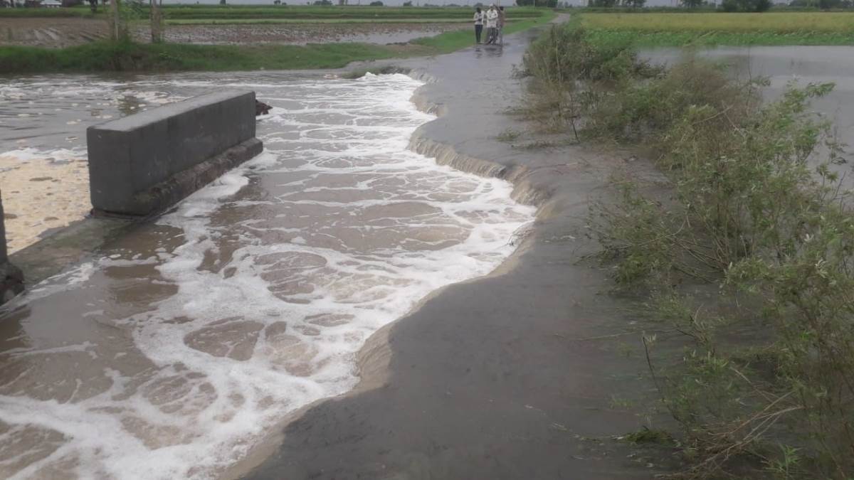 करनाल में भारी बारिश के बीच नाला टूटने से खेतों में घुसा पानी, सैकड़ों एकड़ फसल बर्बाद - Waterlogging in fields due to breaking of drain in Karnal
