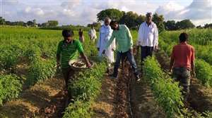 Agricultural Labourers उत्‍तर प्रदेश में कृषि मजदूरों को मिलेंगे न्यूनतम 5538 रुपये प्रतिमाह