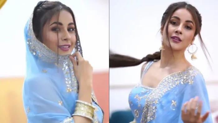 Shehnaaz Gill Dance Video: शहनाज गिल का वीडियो काफी पसंद किया जा रहा हैl