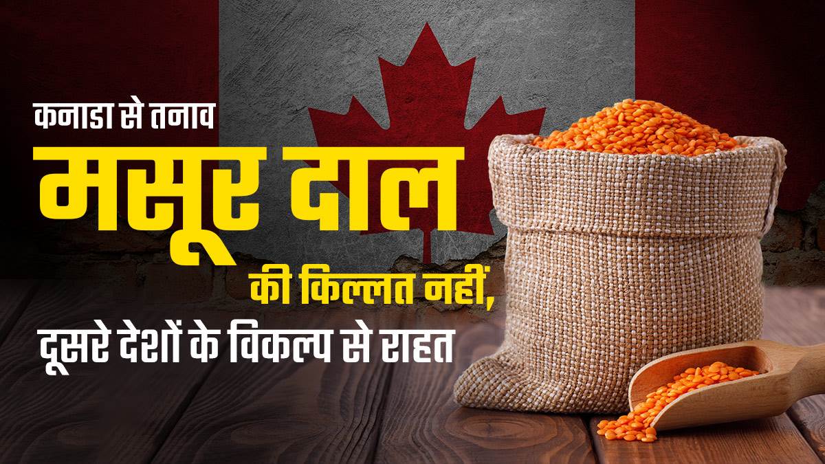 https://www.jagranimages.com/images/newimg/24092023/24_09_2023-export-canada-cover_update__23538572_114347779.jpg