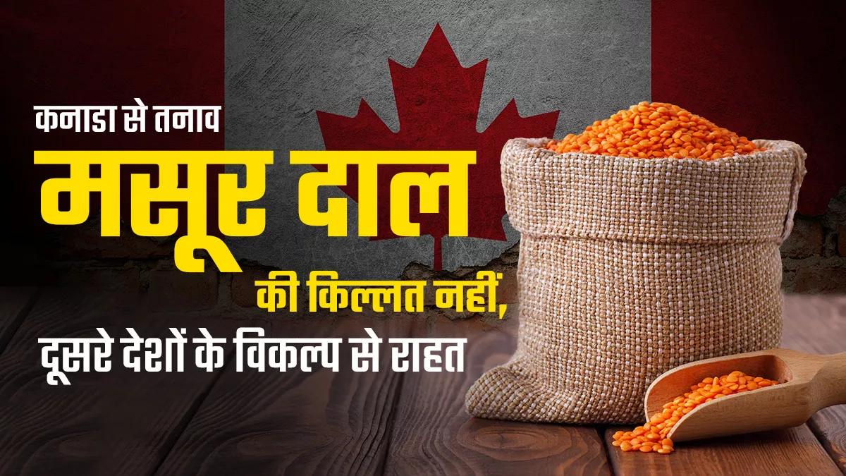 आस्ट्रेलिया से मसूर दाल का आयात बढ़ा, रूस-अमेरिका से भी सप्लाई, जानकारों का मानना- दाम भी ज्यादा नहीं बढ़ेंगे