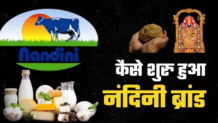 कर्नाटक सरकार ने साल 1974 में कर्नाटक डेयरी डेवलपमेंट कॉरपोरेशन (KDCC) का गठन किया।