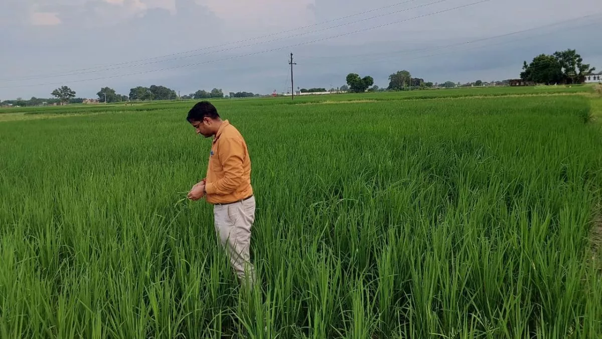 विचार: पर्यावरण के लिए चुनौती न बने एआई, रखना होगा विशेष ध्यान