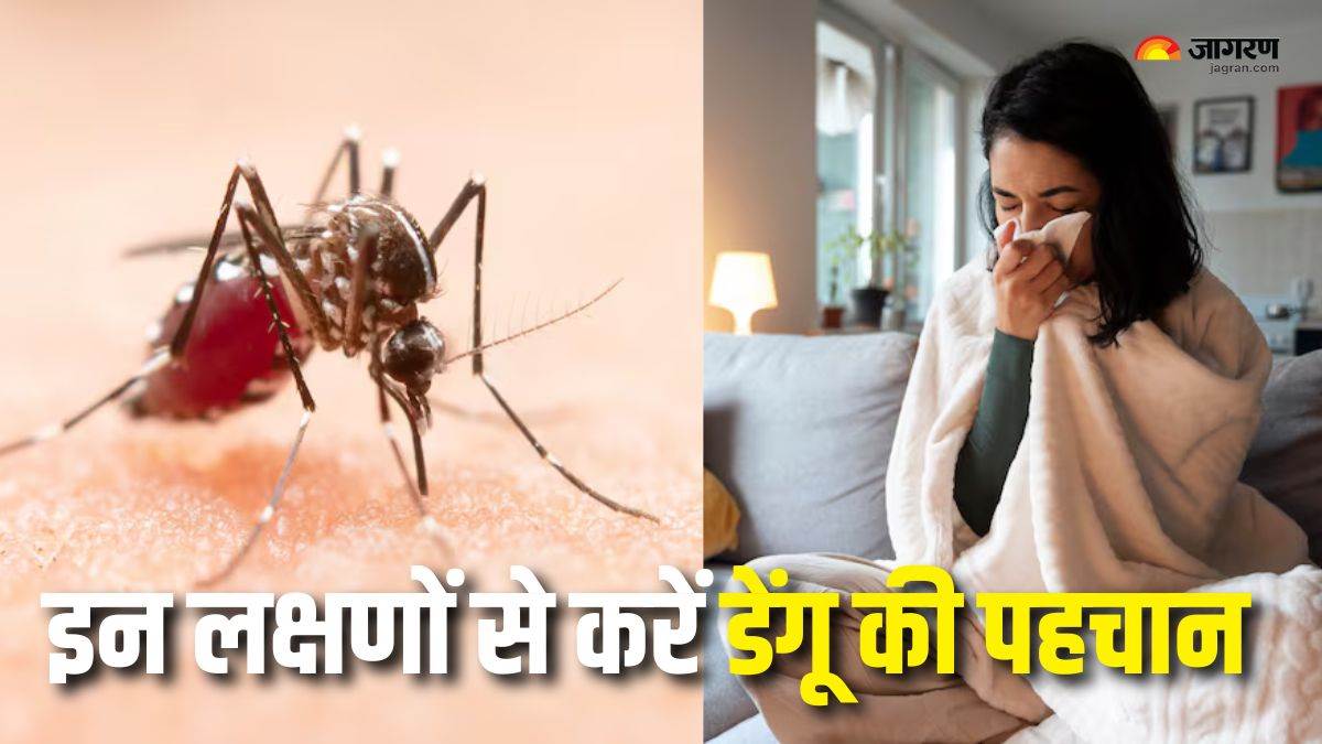 https://www.jagranimages.com/images/newimg/24092025/24_09_2025-dengue_symptoms_2_24058052.jpg