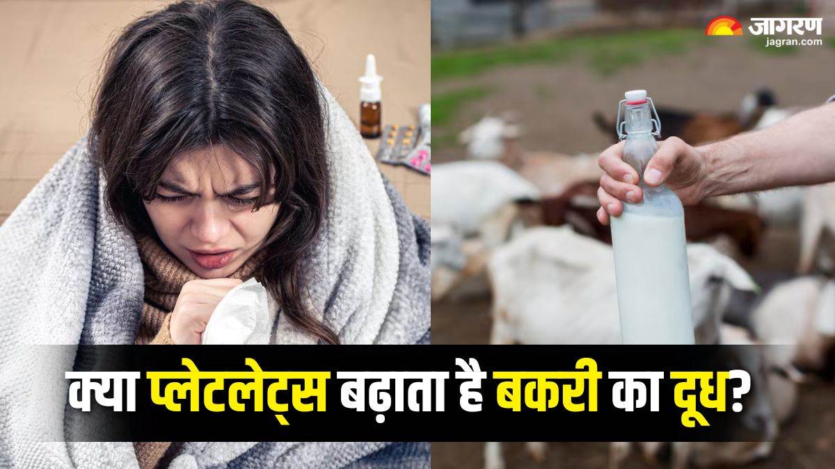 https://www.jagranimages.com/images/newimg/24092025/24_09_2025-goat_milk_24058338.jpg