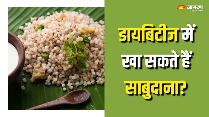 डायबिटीज के मरीजों के लिए कितना सेफ है साबुदाना खाना? (Picture Courtesy: Freepik)
