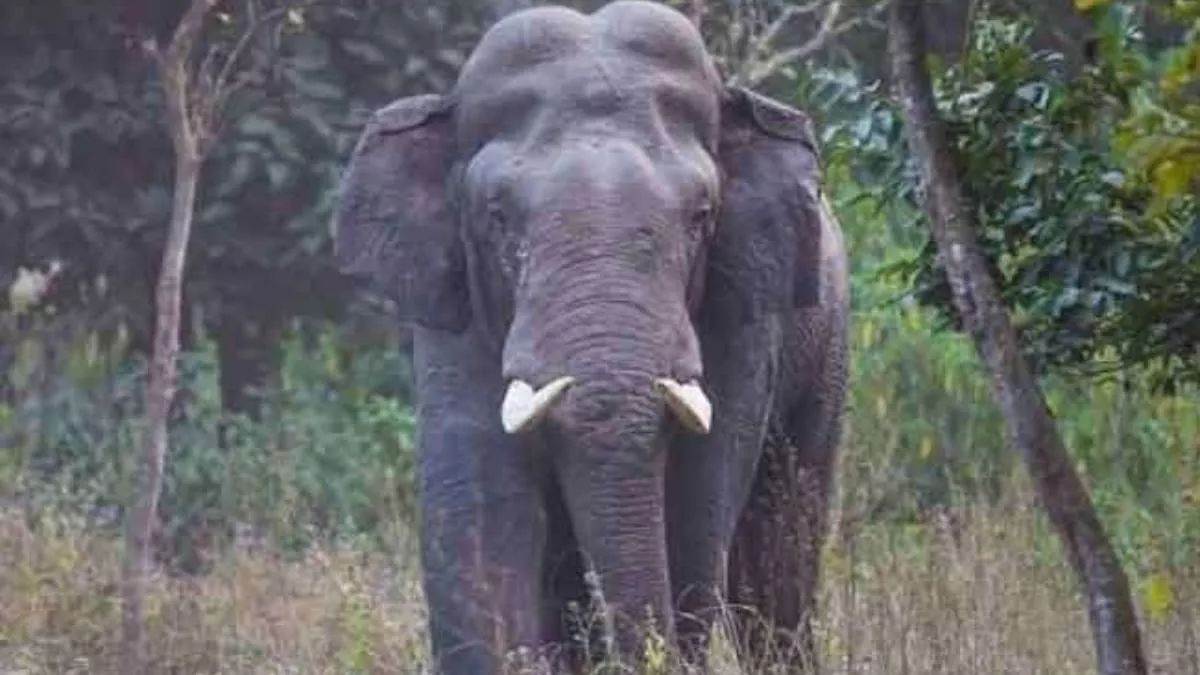 https://www.jagranimages.com/images/newimg/24092025/24_09_2025-jharkhand_news_98_24057867.jpg
