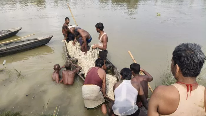 मुरौल में बूढ़ी गंडक में तीन किशोर डूबे। (जागरण)