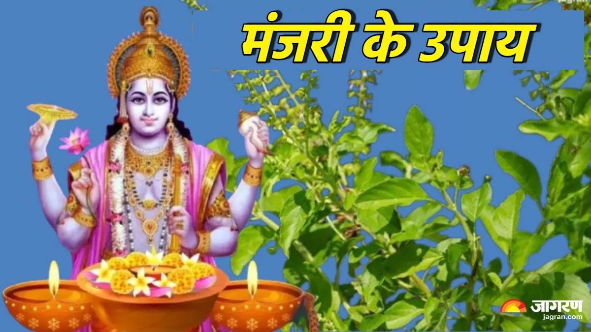 https://www.jagranimages.com/images/newimg/24092025/24_09_2025-tulsi_manjari_ke_upay_24058514.jpg