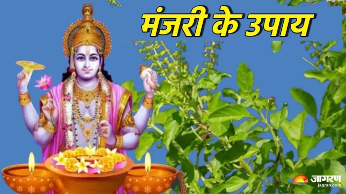 गुरुवार के दिन करें मंजरी से जुड़े ये उपाय।