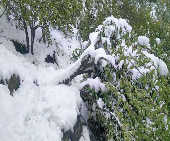 पांगी में हिमपात होने से शेष देश से संपर्क कट गया है। जागरण