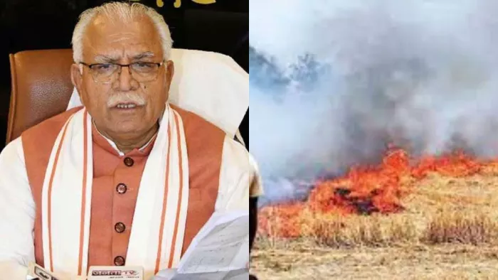 दो साल की अपेक्षा इस बार कम जली पराली (फाइल फोटो)