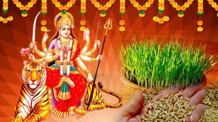 Durga Visarjan 2023: दुर्गा विसर्जन के बाद जवारे से करें ये उपाय, धन से भर जाएगी तिजोरी
