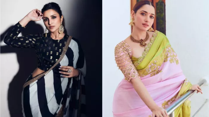 Saree Styling Tips: प्लस साइज फीगर में साड़ी कैरी करते वक्त ध्यान रखें ये बातें