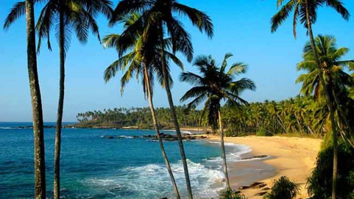 Пляж калутара шри ланка. Климат шри ланки. Велигама шри ланка. Ваддува шри ланка. Калутара шри ланка.