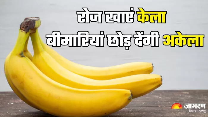 रोजाना केले खाने के गजब के फायदे (Picture Credit- Freepik)