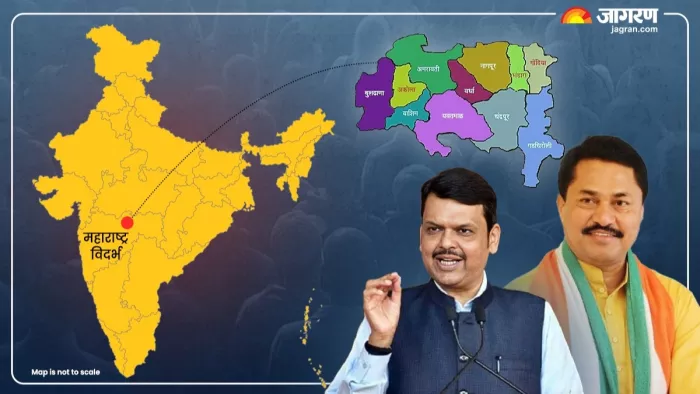 Maharashtra Vidhan sabha election 2024: इस चुनाव में किसके पक्ष में फैसला करेगा विदर्भ। जागरण ग्राफिक्स