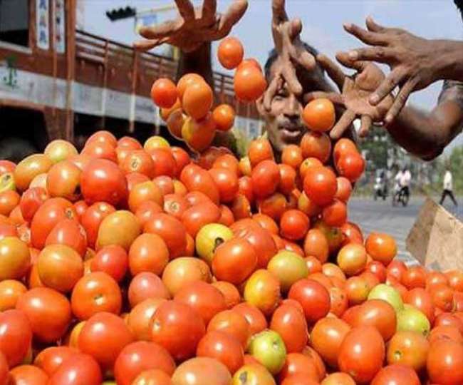 दक्षिण राज्यों में बारिश के कारण बढ़ रहे टमाटर के दाम