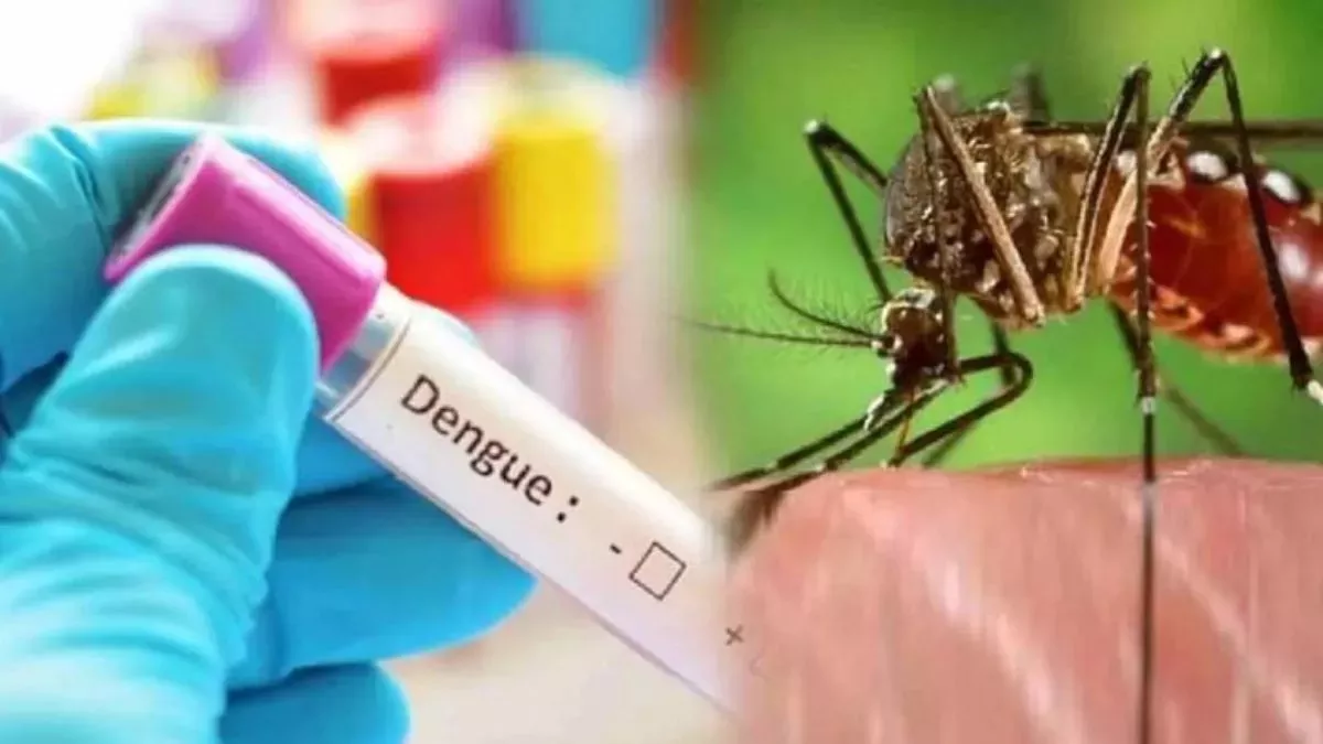 Dengue Cases in Ludhiana: औद्याेगिक नगरी में सर्दी में बढ़ा डेंगू का डंक, 49 नए मरीज मिलने से हड़कंप