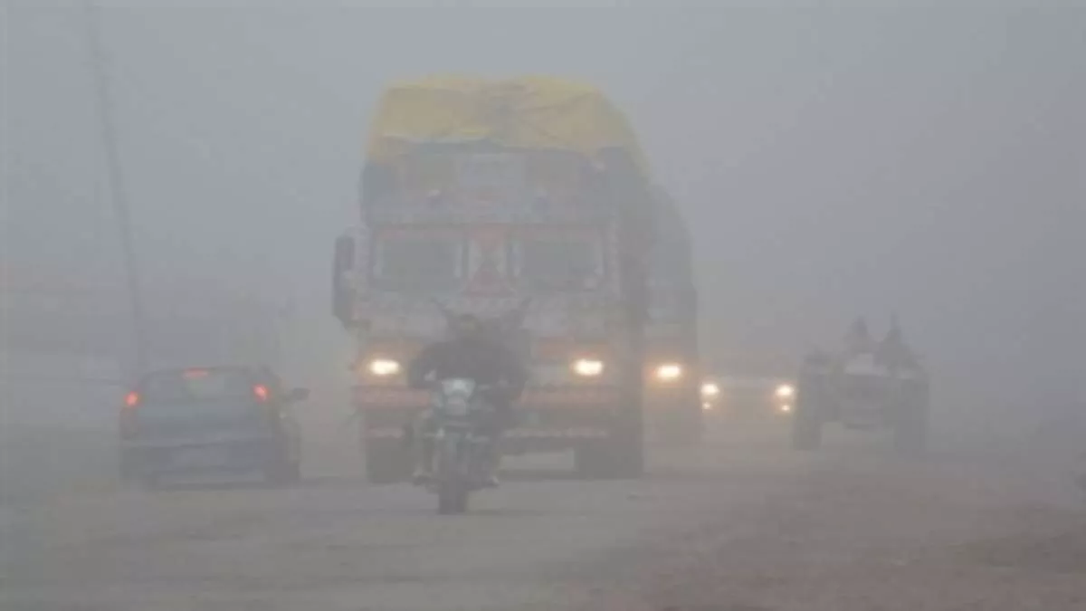 Nawanshahr: सर्दियों में धुंध बढ़ते ही बढ़ जाते हैं हादसे, नहीं हो रहा हाइकोर्ट के निर्देशों का पालन