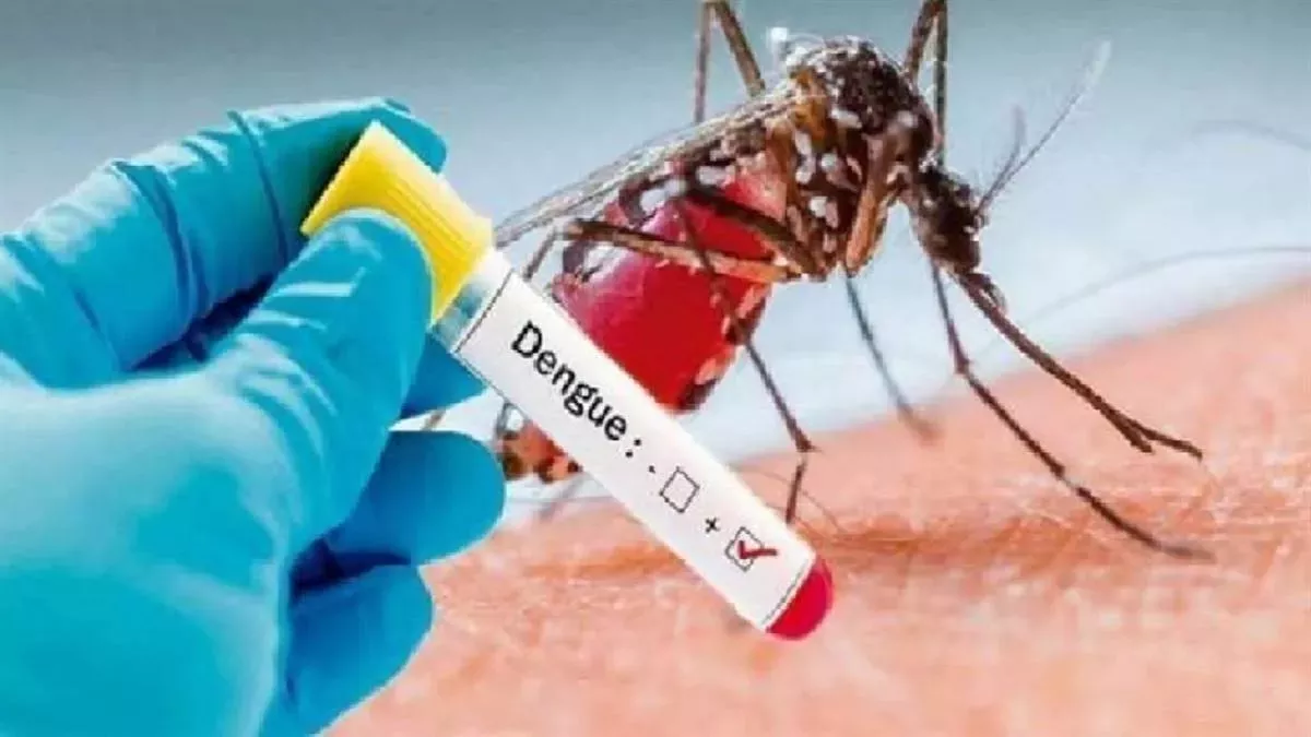 कानपुर में डेंगू का डंक : जीआरपी थाने के दारोगा और सिपाही समेत 20 बीमार, मिले 51 नए संक्रमित