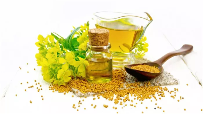 Mustard Oil Benefits: जानें सरसों के तेल के 7 फायदे