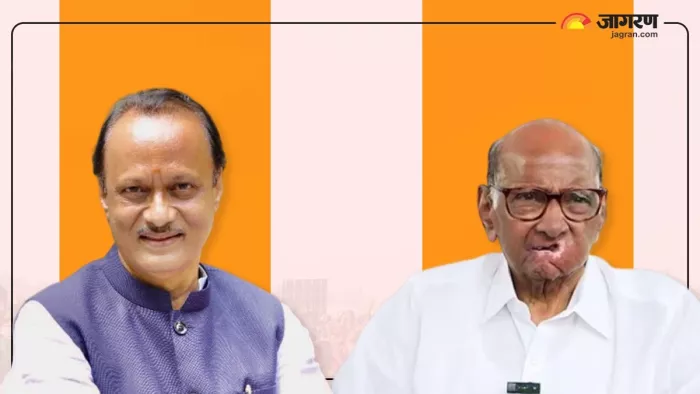 Maharashtra Election Result 2024: महाराष्ट्र विधानसभा चुनाव में अजित गुट ने 41 सीटें जीती।(फोटो सोर्स: जाागरण)
