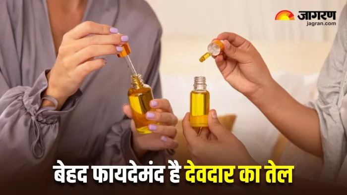 बालों को मजबूत और त्वचा को चमकदार बनाता है देवदार का तेल, जानिए कैसे (Image Source: Freepik)