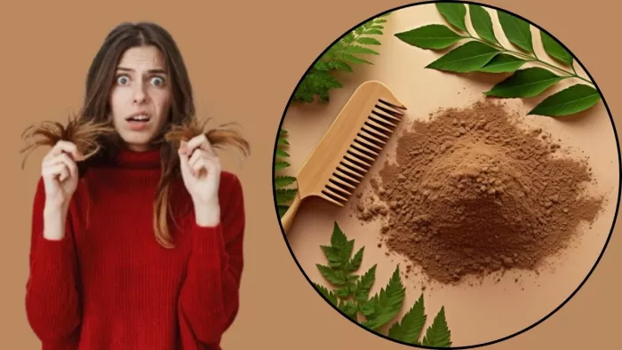 Hair Fall Prevention Tips: बालों को शाइनी और मुलायम बनाने के टिप्स। (Image Credit- Freepik)