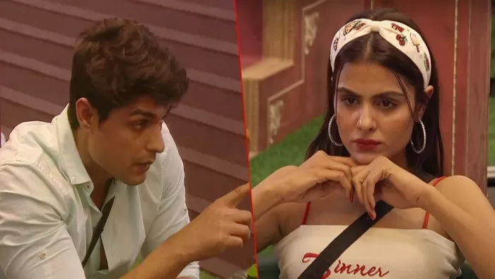 Bigg Boss 16 Elimination Ankit Gupta out of the show overnight