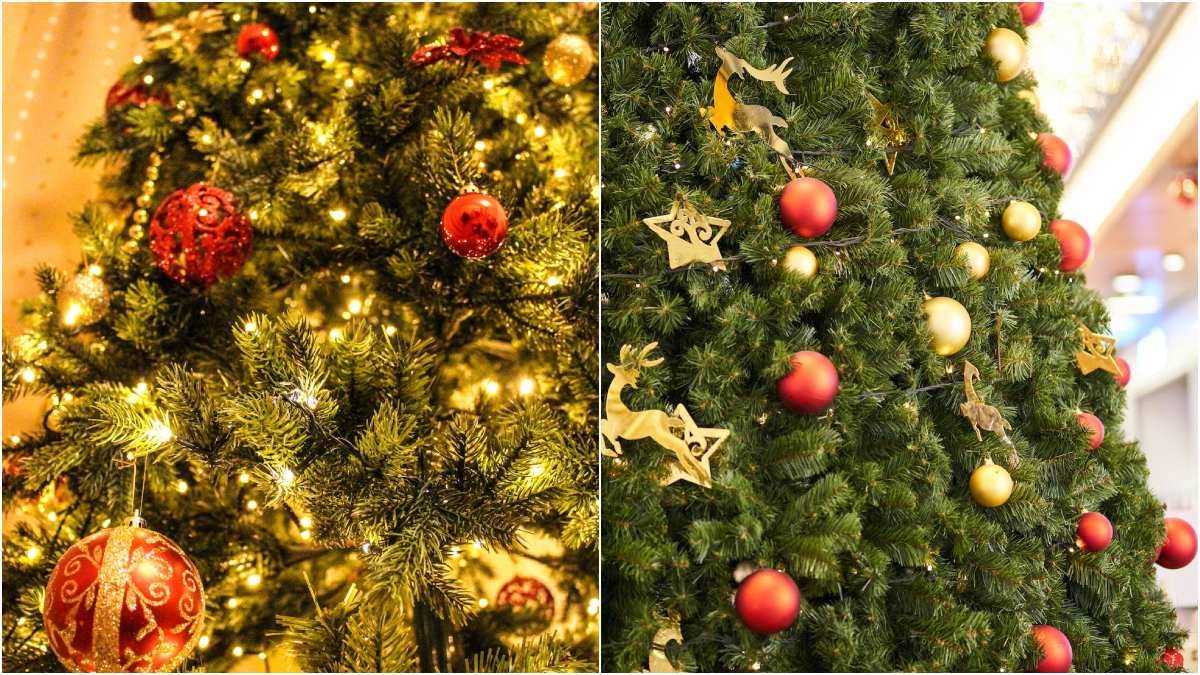 2022-christmas-tree-decorating-ideas-3