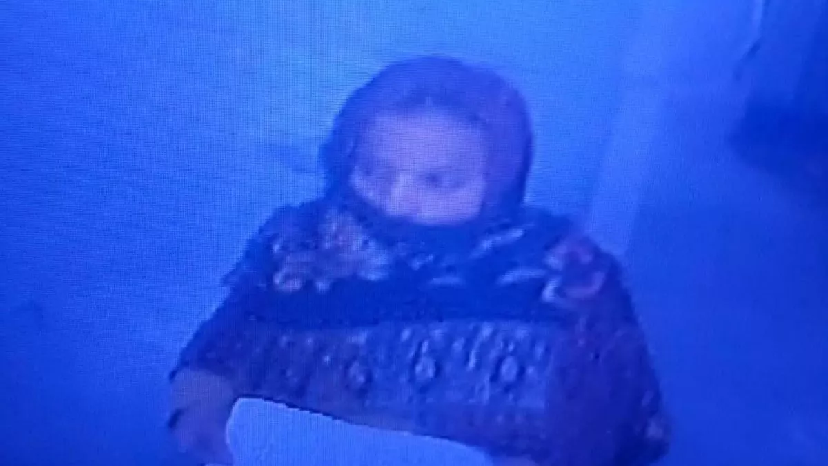Delhi: प्रसव के एक घंटे बाद ही GTB अस्पताल से नवजात चोरी, नानी बताकर बच्चा लेकर फुर्र हुई महिला; CCTV में दिखी